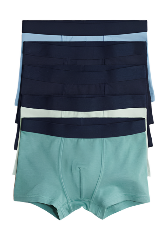 5-Pack Boxer Briefs