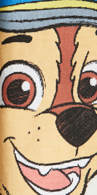Paw Patrol Printed T-Shirt